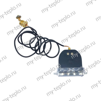 Манометр для котла Arderia D14 Atmo (manomArderiaD14At)